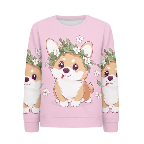 Hawapod Sweatshirts For Teens Kids Boys Girls Animal Pattern Loose Fit Casual Pullover Long Sleeve Cute Crewneck Sweatshirt