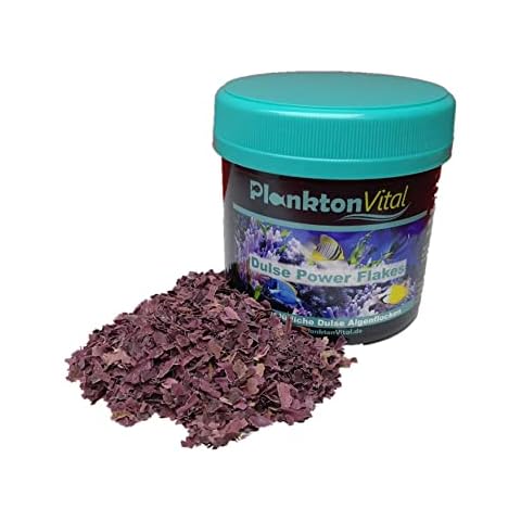PlanktonVital Dulse Power Flakes Lappentang Flocken Seaweed Algenfutter Meerwasser Fischfutter Algen Dulse Lappentang Dulse Flocken Cover