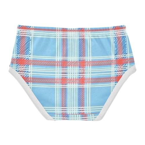 Girls' Cotton Briefs Toddler Cotton Underwear for Toddler Girls Blue Red Plaid2