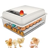 Fácil de operar: cuenta con botones simples, que son fáciles de operar. Cuenta con control automático de temperatura y visualización automática de la temperatura actual. Cuenta con un dispositivo de espuma de poliestireno visible para mejorar el efecto de aislamiento, hidratación y ahorro de energía.