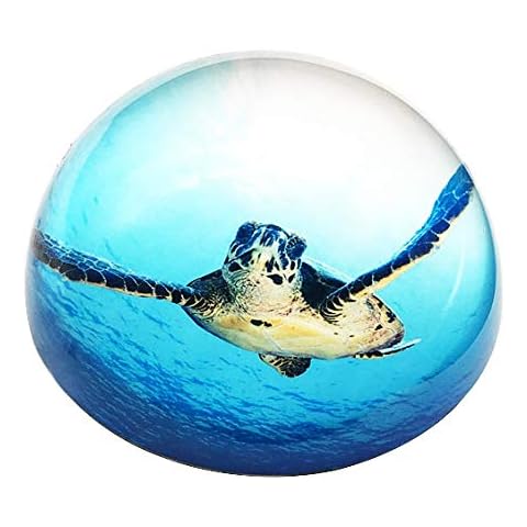 Waltz&F Crystal Sea Turtle Paperweight Galss Globe Hemisphere Home Office Table Decoration Cover