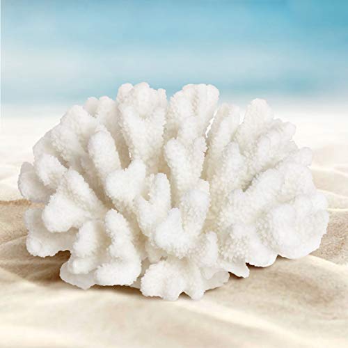Coral Centralpiece Décor Ornament Aquarium Fish Tank White Blue Orange (Coral White 1) Coral Centralpiece Décor Ornament Aquarium Fish Tank White Blue Orange (Coral White 1)