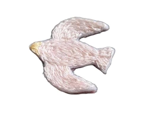 hJu[`nhChANZT[  k sN