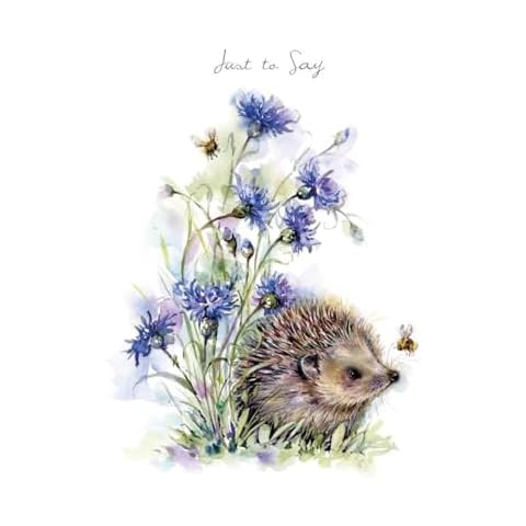 Noel Tatt Just to Say Hedgehog Card Cover