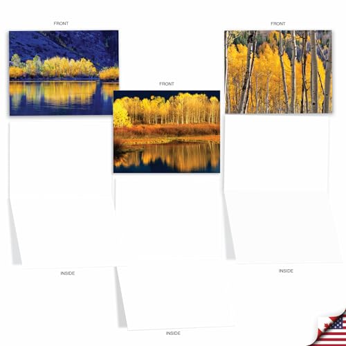 Image of The Best Card Company - 10 Beautiful Note Cards Blank (4 x 5.12 Inch) - Fall and Autumn Season, Boxed Notecard Assortment (Not Foil, Layered, or Sparkled) - Golden Foliage M1729BN