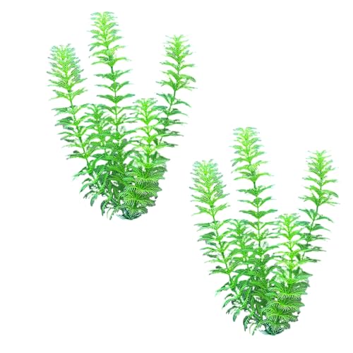 ^NlHAiϋ^NpeEGȓ̏΂̒WƉȂ