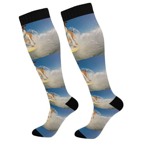Waassud Calcetines de compresión para perros de surf para mujeres y hombres, circulación, 20-30 mmHg, hasta la rodilla, calcetines de viaje, 1 par, Multicolor, S/L