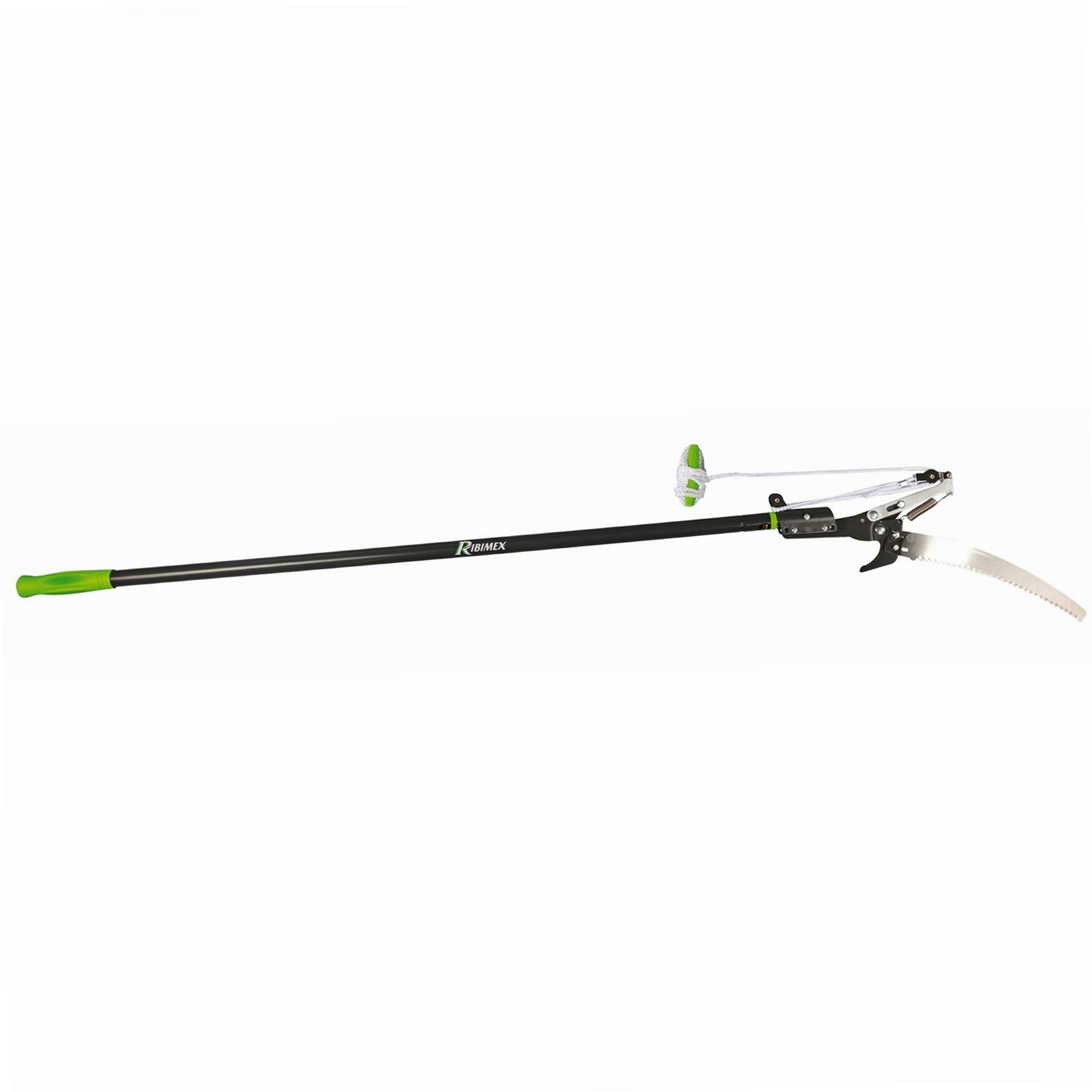 WERKA PRO - Élagueur Télescopique RIBILAND 815-Élagueur Hauteur Max 2,50 m-Capacité 30 mm-Modèle PROfessionnel, Vert/Acier