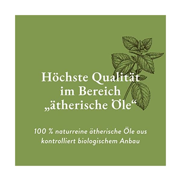 AllgäuQuelle® Saunaaufguss Bio 3er Set Sauna Aufgussmittel 3x100ml Saunaduft Aufguss – Bild 3