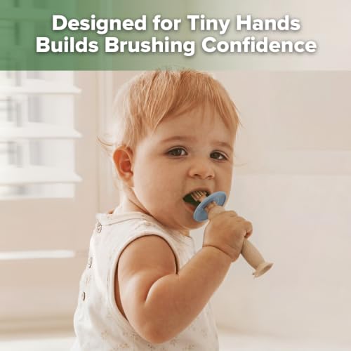 Image of haakaa 360 Baby Toothbrush with Suction Base - Beige + Sky Blue | Gentle Cleaning for Infants, Gum Massage, BPA-Free, Food-Grade Silicone, Adjustable Safety Shield, Safe for Babies 6 Months+