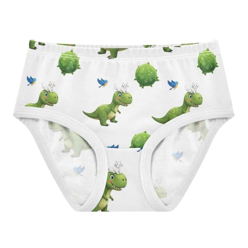 Joisal Funny Dinosaur Cats Birds Girl Panties Cute Toddlers Underwear Floral Cotton Pattern Underpants Briefs 2t