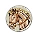 Imagen del Círculo De Caballos Imanes De Nevera - Decorativos para Frigorífico, Pizarra, Pizarra, Tablón De Anuncios, Fotos