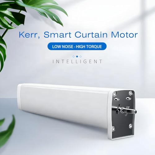 Image of Kerr Smart Curtain Remote | RF Remote. (2CH Remote)