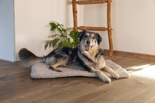 Beeztees Ito, Orthopädisches Käfigkissen, Hundebett, Hellgrau, 78z55x4 cm