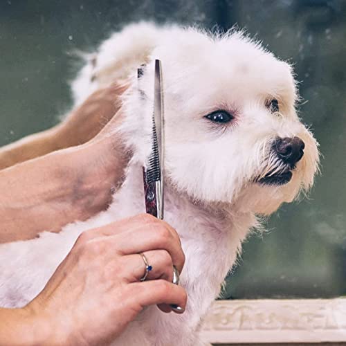 Gimars 6 in 1 Professional 4CR Stainless Steel Safety Round Tip Dog Scissors for Grooming, Heavy Duty Titanium Coated… - Image 7