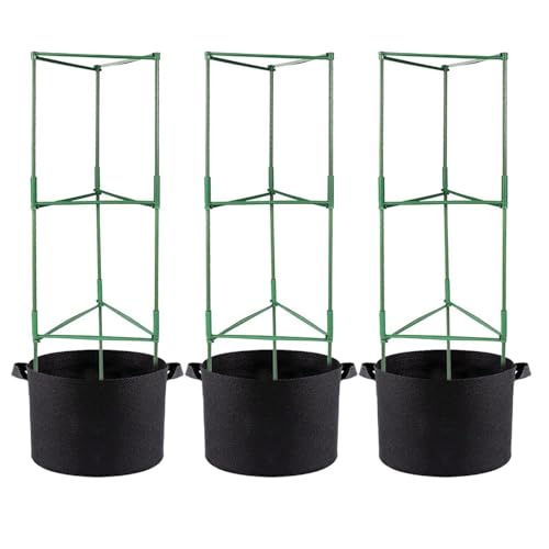 Tomato Plant Support For Garden | 120cm Garden Climbing Plants Support With Grow Bags | Adjustable Tomato Stakes | For Home Indo
