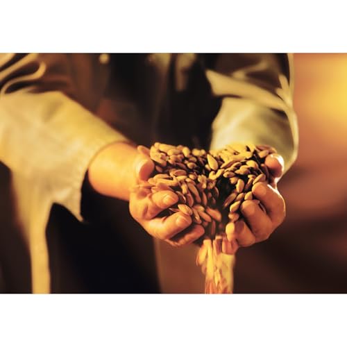 Niederegger "Cherry Loves Marzipan" Pralines Covered with Crisp & Dark Chocolate 108g / 3.8oz | 6 piece per Box | Deliciously Decadent: Premium, Handcrafted, Exquisite | Crafted in Germany since 1806 - Image 9