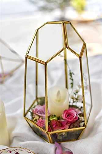 NCYP Goldgeometrischer Terrarium-Pflanzgefäß aus Glas,25 cm Unregelmäßiger Messing-Blumentopf für Sukkulenten,Farne, Moos,Heimdekoration,Tafelaufsatz für Hochzeit (Keine Pflanzen und Keine Tür)