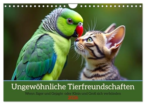 Ungewöhnliche Tierfreundschaften (Wandkalender 2026 DIN A4 quer), CALVENDO Monatskalender: Wenn Jäger und Gejagte oder Klein und Groß sich verbünden (CALVENDO Tiere)