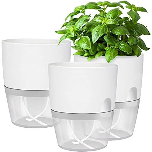 Galileo Play for Future – Mein Garten Set, Experimentierkasten für Pflanzen-Fans, Wissenschaft für Zuhause, ideal als Geschenk, Botanik & Biologie für Kinder ab 7 Jahren von Clementoni 59207 8 Kräutertopf Küche Set Fensterbank selbstbewässernd-3er Set Kräutergarten für die Küche,18.2X 11x 15.3 cm, für frische Küchenkräuter, weiß