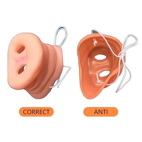 CXNXFD 2Pcs Schweinchennase, Schweinenasenmaske mit elastischem Band,Party lustige Tiermasken