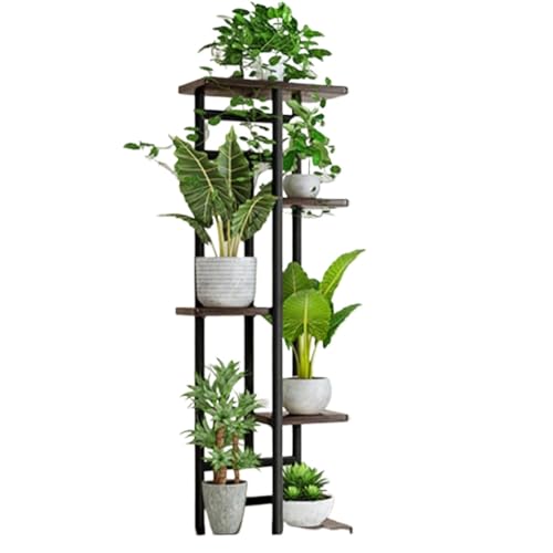 Sefoemutt[X^h 5 iKiAI kX^CI S؍ސw|bgX^h |[bN oRj[rOp (5i6,ubNI[N)