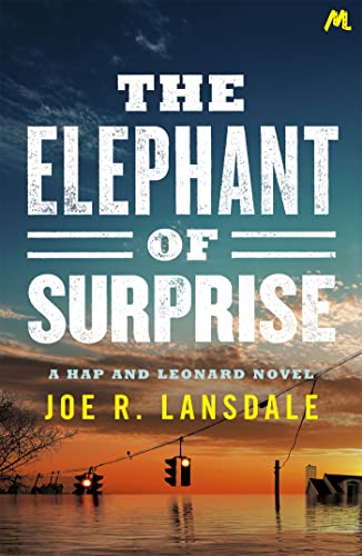 The Elephant of Surprise 1473678102 Book Cover