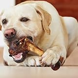 Echte Hundeknochen, Markknochen, tragbar, robust, Kauspielzeug für Hunde, aggressives Kauspielzeug für Hunde, natürliche Leckereien für große Rassen für Kauspieler