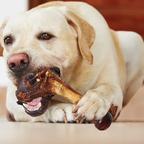 Echte Hundeknochen, Markknochen, tragbar, robust, Kauspielzeug für Hunde, aggressives Kauspielzeug für Hunde, natürliche Leckereien für große Rassen für Kauspieler
