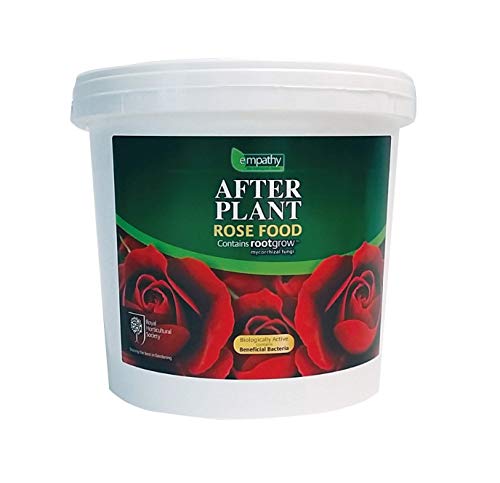 RHS Empatía afterplant rosa alimentos con Rootgrow Mycorrhizal fungi
