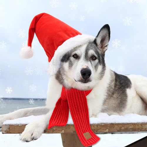 Mfsdai Weihnachtskostüm Hunde Katzen,Katzenkostüm Weihnachten Verstellbare Hundemütze Schal Weihnachtshundeschal für Große Haustier