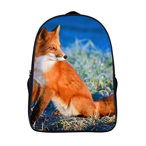 Mochila de zorro de 40x28x16cm para estudiantes y adultos