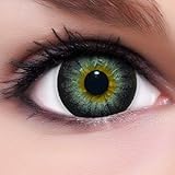 UNIVERSALES: Para todos los colores de iris, claros y oscuros / marrones, se pueden utilizar para ojos grandes y pequeños