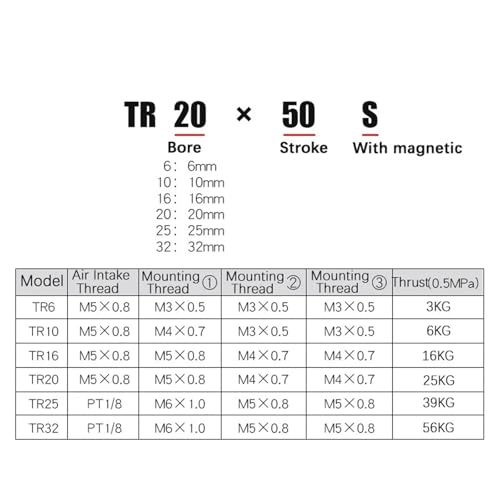 Vérin pneumatique TR25 à double tige magnétique anti-rotation - 6
