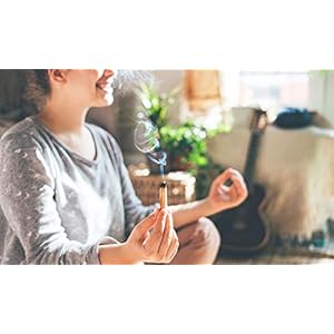Palosantosticksincensesticksforspiritualcleansingstressreliefmeditationaccessorieshomefragrancesustainablywildharvestedpackof20alternativeimagination Urban Country Home Decor Palo santo sticks incense sticks for spiritual cleansing stress relief meditation accessories home fragrance sustainably wild harvested pack of 20 alternative imagination urban country home decor