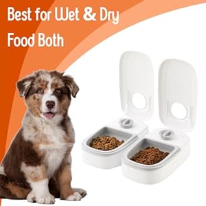 Automatic Cat Feeder with Ice Pack – 2-Meal Pet Feeder for Small Dogs – Dry and Wet Food Dispenser for Cats, 48-Hours Timer