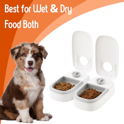Automatic Cat Feeder with Ice Pack – 2-Meal Pet Feeder for Small Dogs – Dry and Wet Food Dispenser for Cats, 48-Hours Timer Automatic Cat Feeder with Ice Pack – 2-Meal Pet Feeder for Small Dogs – Dry and Wet Food Dispenser for Cats, 48-Hours Timer