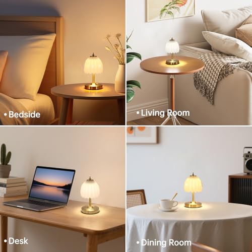 Image of Shenmoyl Set of 2 Tulip Table Lamp with 5200mAh Battery & Touch Control, Cordless Small Table Lamp with 3 Colors, Rechargeable Battery Operated Table Lamps for Nightstand, Bedroom (White Tulip)