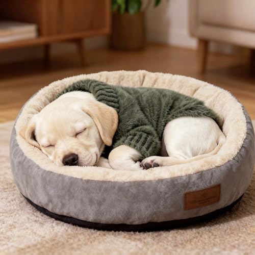 Image of Small Dog Furry Pullover Sweater, Classic Turtleneck Dog Clothes for Cold Weather Cute Warm Pet Clothes for Chihuahua, Bulldog, Dachshund, Pug Green X-Large