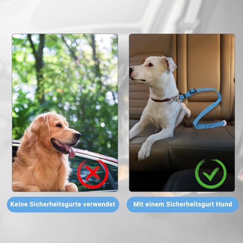 Lollanda Sicherheitsgurt Hund Auto, Hundegurt fürs Auto Sitze mit Reflektierenden Streifen und Pufferseilen, Verstellbarer Hundegurt für Große Mittlere und Kleine Hunde (Hellblau)