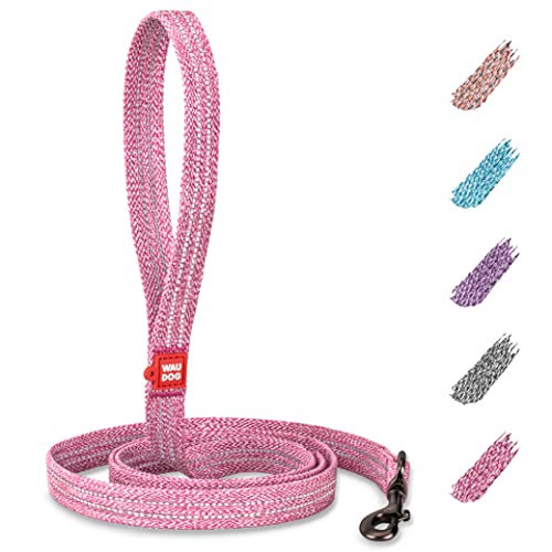 10 Best Recycled Dog Leashes to Buy in 2021 for EcoFriendly and