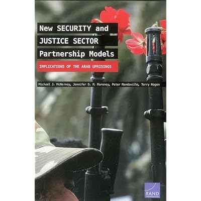 New Security and Justice Sector Partnership Models