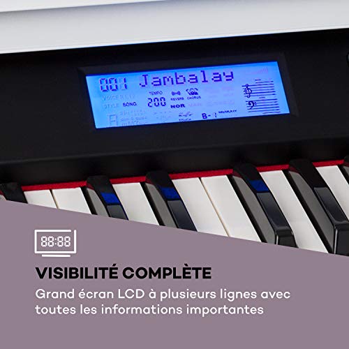 Schubert Subi 88 MK II – Piano numérique 88 touches, Piano électrique – 360 tonalités, 160 rythmes, 80 morceaux de… - Les Beatles, Paul McCartney, John Lennon, RIngo Starr, George Harrison Schubert Subi 88 MK II - Piano numérique 88 touches, Piano électrique - 360 tonalités, 160 rythmes, 80 morceaux de… – Image 8