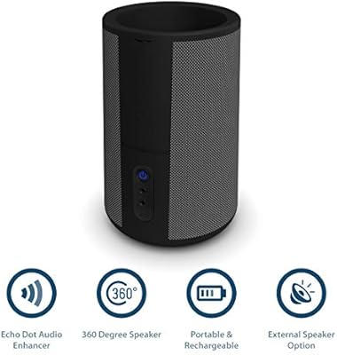 majority echo dot alexa