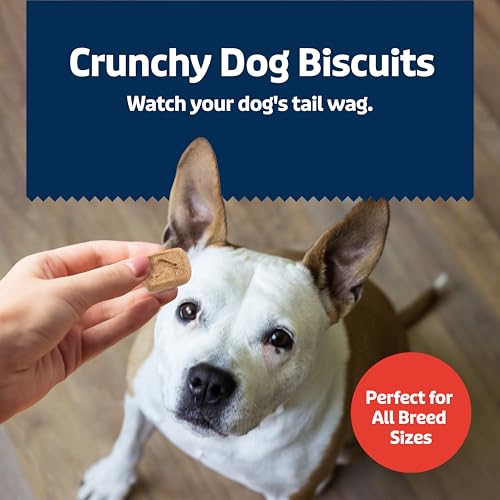 Image of Blue Buffalo Health Bars Crunchy Dog Biscuits, Oven-Baked with Natural Ingredients, Bacon, Egg & Cheese, 32-oz Bag (Pack of 2)