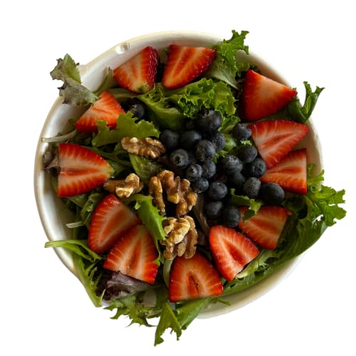 The 27 Best Disposable Bowls of 2024 [Verified] Cherry Picks