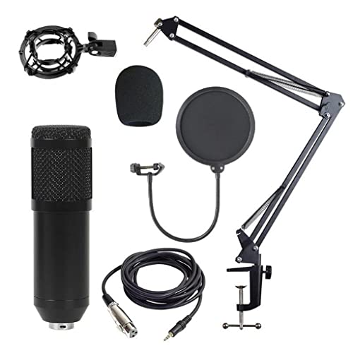Image of BNF Condenser Microphone Kit For Studio Recording Silver A