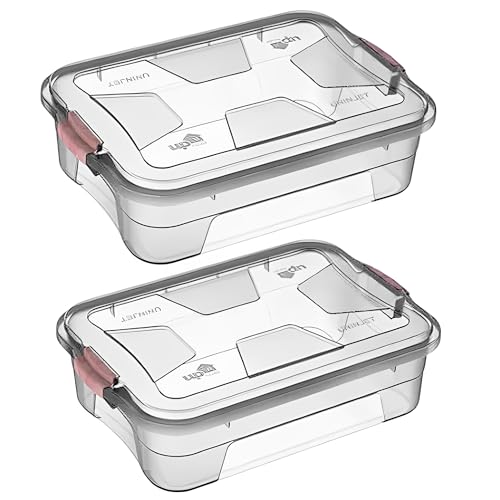 Kit 2 Caixas Organizadoras Plásticas Transparentes com Tampa – Ca...