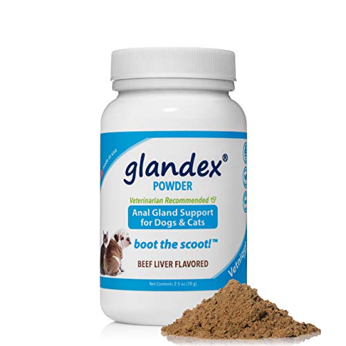 Glandex Dog & Cat Anal Gland Sac Fiber Supplement Powder with Pumpkin, Digestive