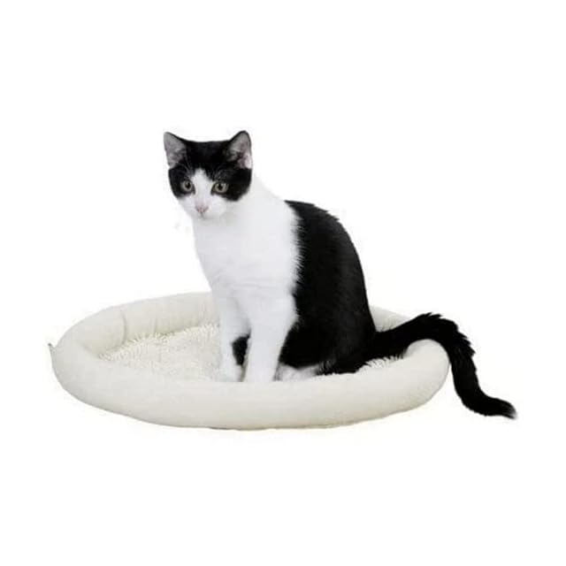 Kerbl Pet cojín de Gato w Tela mop 40/40/4cm, Beige/Verde PP